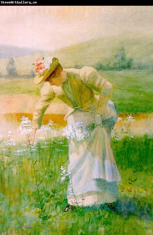 De Scott Evans Picking Wildflowers